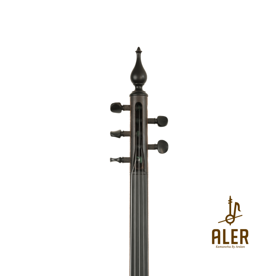 AĞAÇ ANADOLU KAMANÇASI-ANN245025