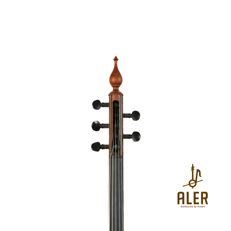 AĞAÇ ANADOLU KAMANÇASI-ANN2450854