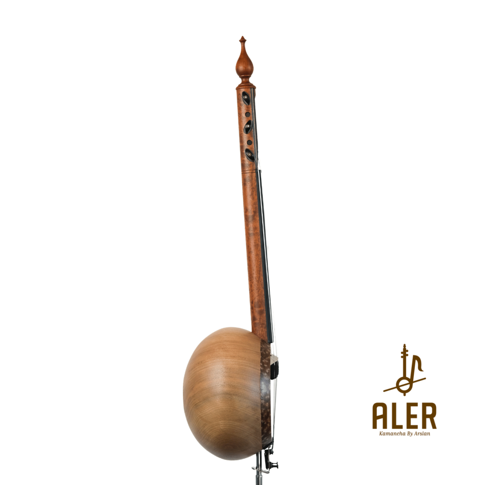 AĞAÇ ANADOLU KAMANÇASI-ANN2450854