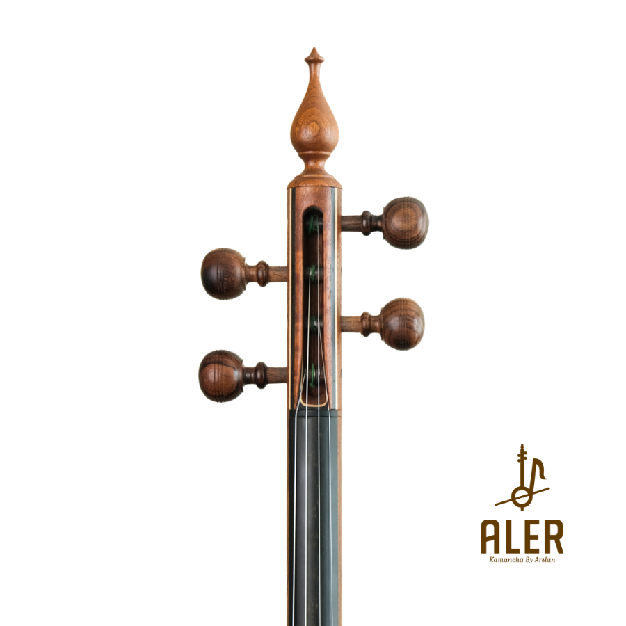 AĞAÇ ANADOLU KAMANÇASI-ANN245035