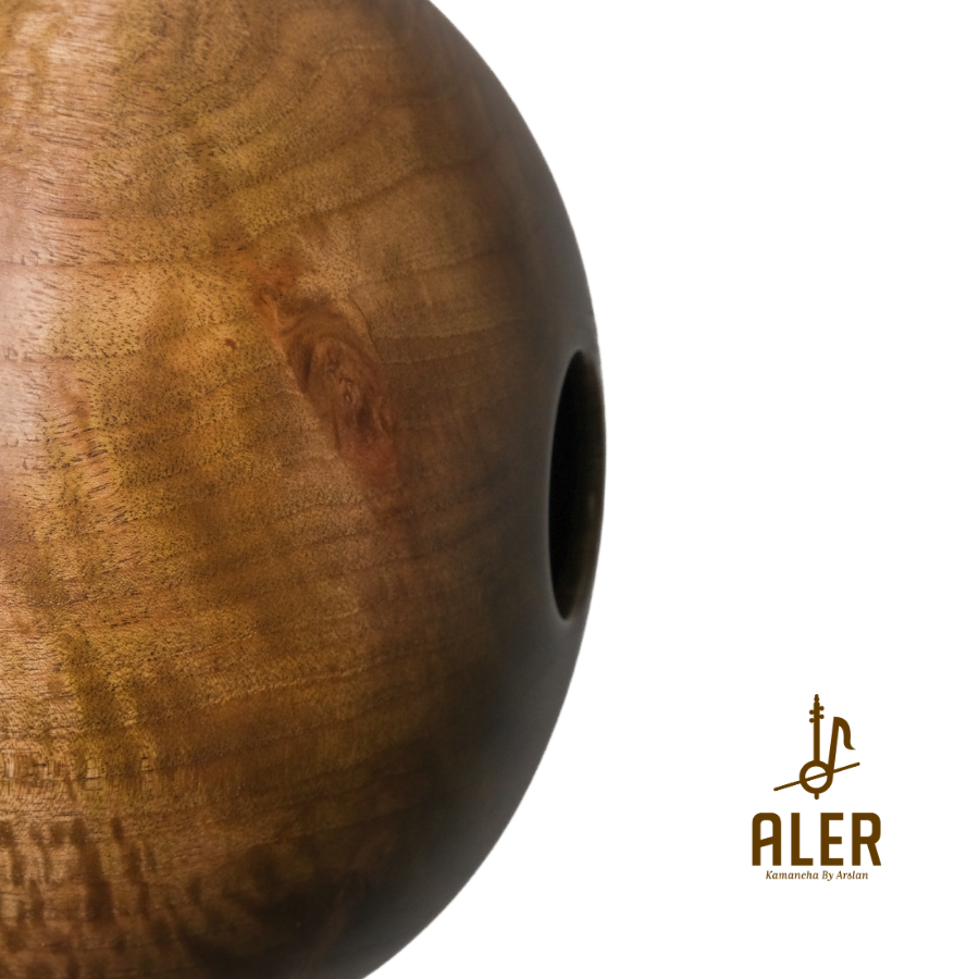 AĞAÇ ANADOLU KAMANÇASI-ANN254034